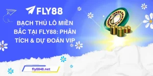 Bạch Thủ Lô Miền Bắc Tại FLY88: Phân Tích & Dự Đoán VIP